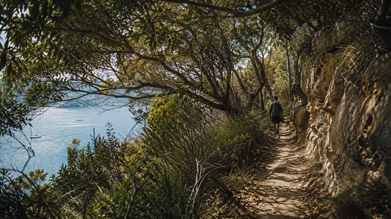Port Phillip’s Shore: What a Calm Sea Teaches